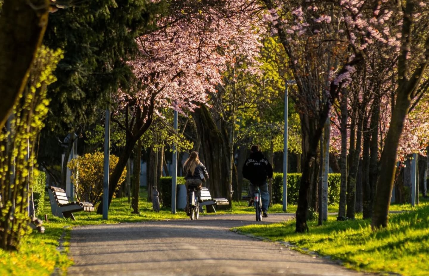 Cluj Napoca straluceste in aceasta primavara Ce poti explora acum pe malul Somesului si in parcurile orasului