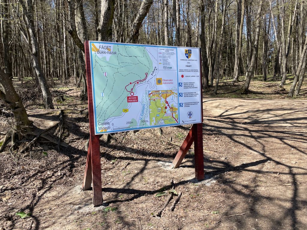 Clujenii cu dizabilitati de mobilitate pot in sfarsit sa se bucure de plimbari in Faget Primul traseu din regiune accesibil persoanelor in scune cu rotile
