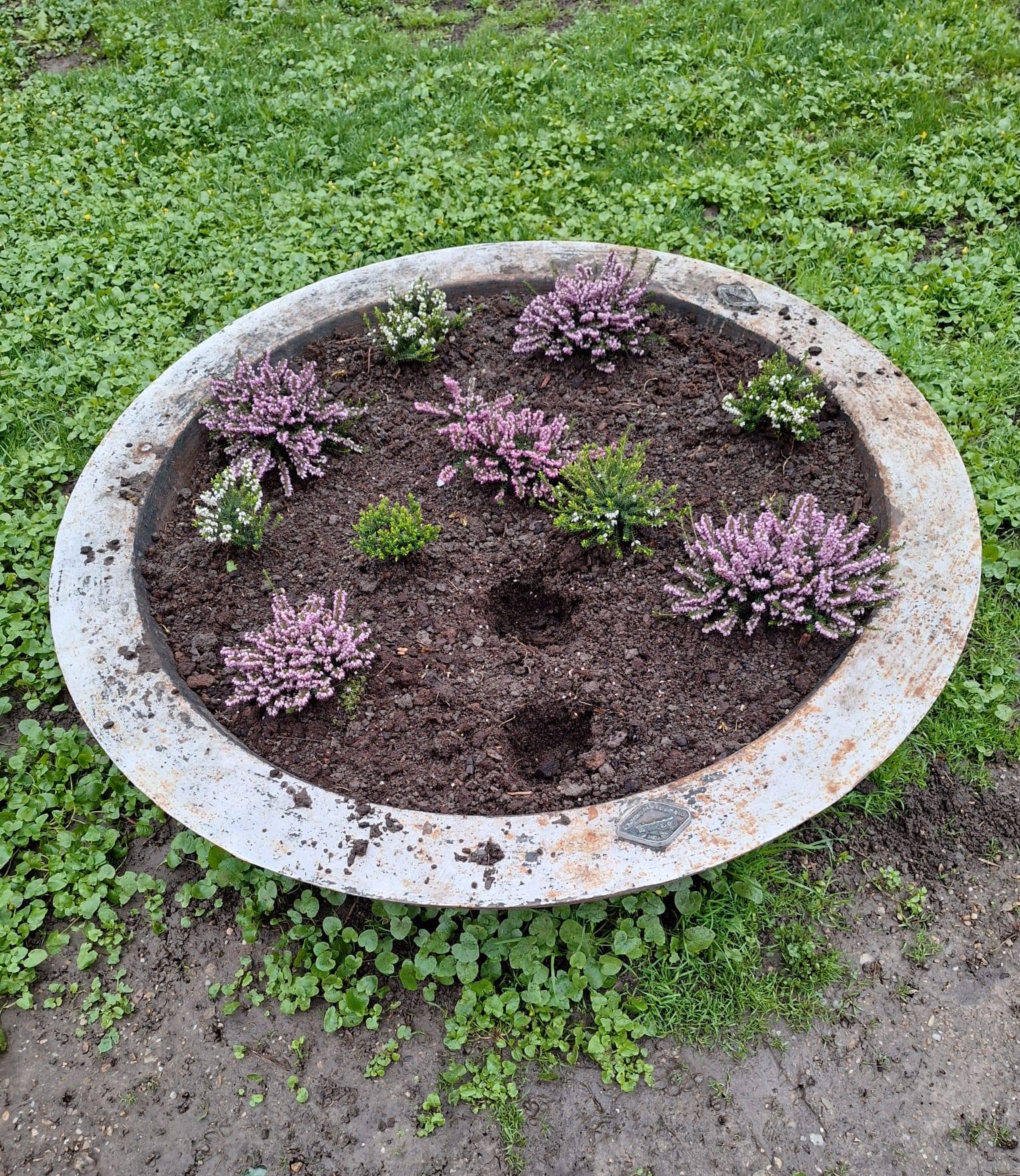 Florile din Parcul Cismigiu sub protectia politistilor locali Sute de flori au fost furate in doar cateva zile