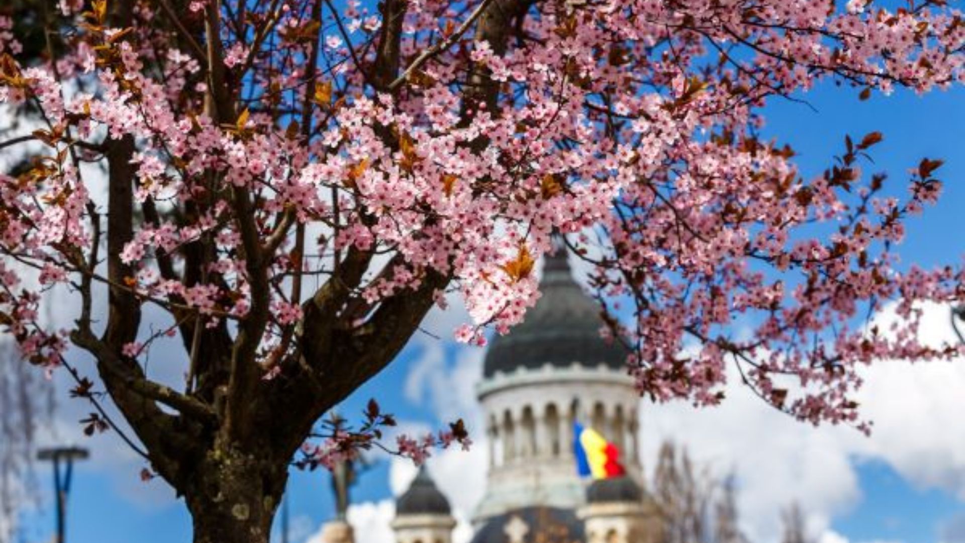 Mobilizare ampla de forte la Cluj cu ocazia Floriilor si Pashtelui Catolic Jandarmii sunt prezenti pe strazi pentru a garanta siguranta credinciosilor
