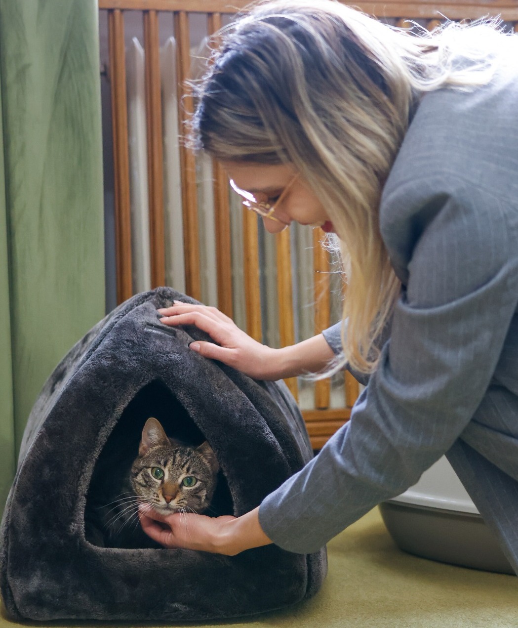 Pisica grav abuzata adoptata de Ministerul Mediului Acest gest evidentiaza responsabilitatea si puterea exemplului Leia poarta o poveste trista