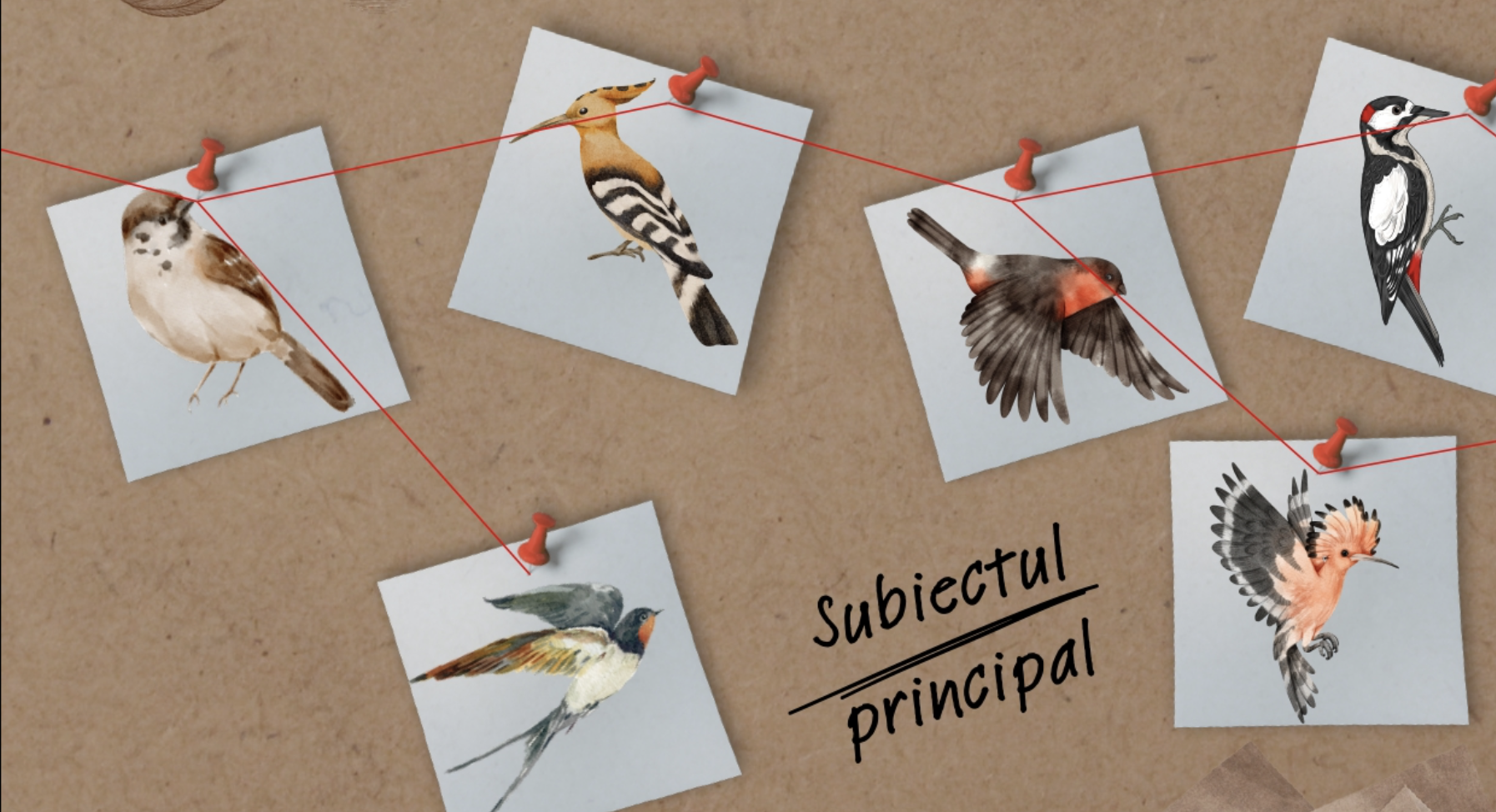 Primaria Cluj invita clujenii la o vanatoare de pasari Concurs inedit cu premii in parcuri si pe malurile Somesului