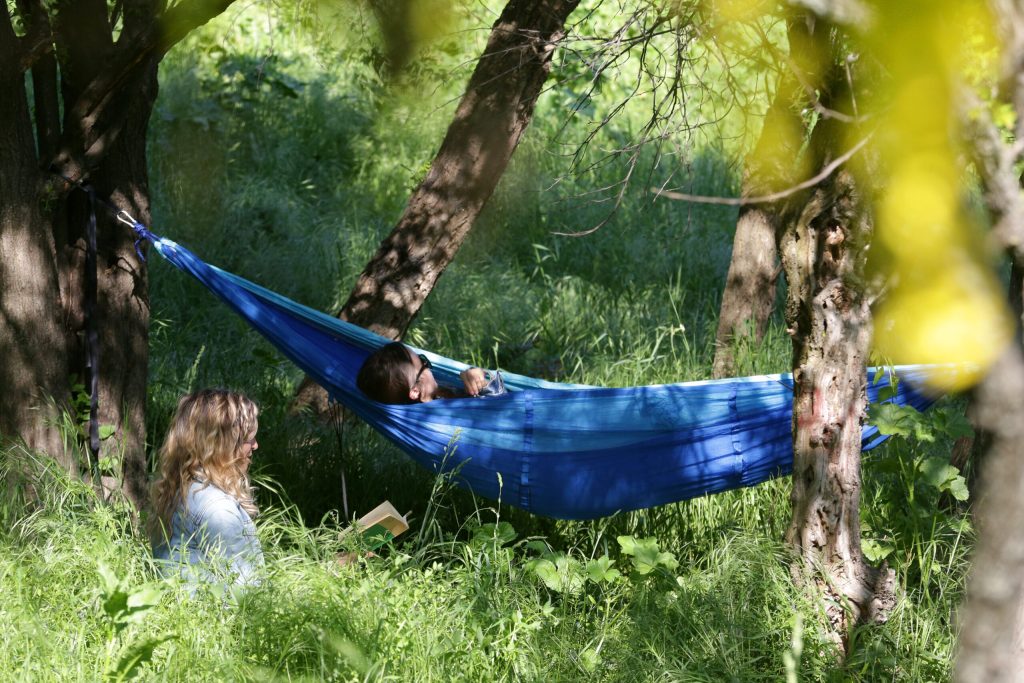 Scoala care aduce profit Cum poti castiga ca elev mii de euro participand la un concurs pe teme de natura