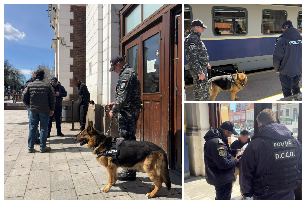 Zeci de calatori si bagaje verificate cu stricte te astazi in gara Cluj Napoca si in trenuri Politistii insotiti de caini au cautat substante interzise