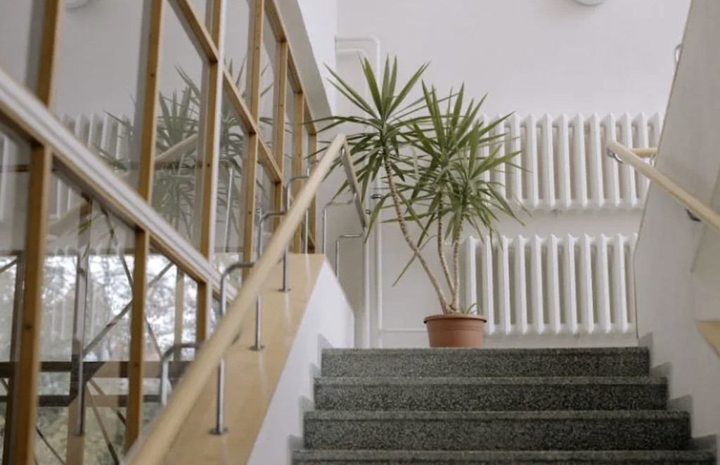 scandal intr un bloc din cluj in saptamana pastelui copiii rasturnau iconitele de pe hol iar nimeni nu intervenea parintii lor m au insultat