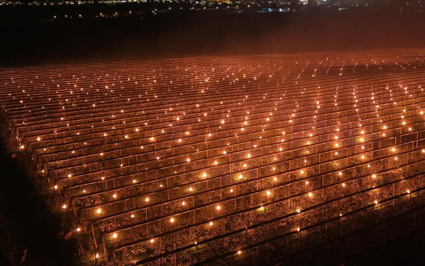 video o ferma din cluj a ars 40000 de euro intro singura noapte 20 de oameni nu au dormit deloc in frig