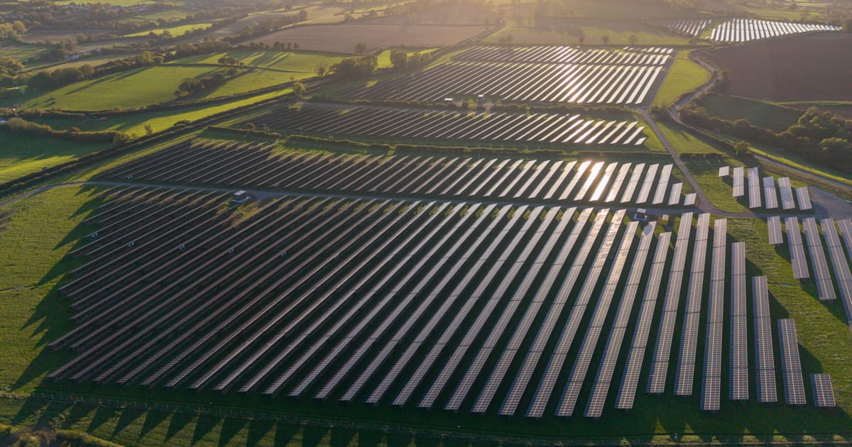 Farage nu poate împiedica proiectele de ferme solare uriașe ale Partidului Laburist, admite șeful departamentului de energie al Reformei. 2 Farage nu poate impiedica proiectele de ferme solare uriase ale Partidului Laburist admite seful departamentului de energie al Reformei