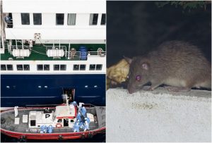 Gestul surprinzator al captainului vasului de croaziera MV Hondius dupa ce focarul de hantavirus a provocat prima victima Nava este in siguranta Videoclipul cu el starneste controverse