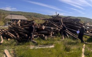 Hotii de lemn nu au nicio sansa in Cluj Politia si Garda Forestiera au confiscat materiale in valoare de 48000 de lei si au dat 15 amenzi