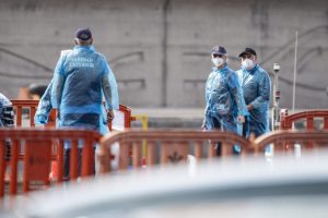 Olanda 12 angajati ai unui spital pusi in carantina dupa ingrijirea unui pacient infectat cu hantavirus
