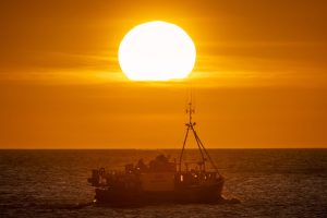 Poluare toxicain Marea Britanie chimicalele eternes au contaminat ecosistemul marin