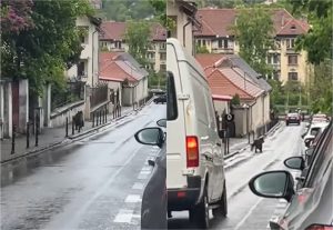 Un urs surprins alergand pe strazile din Brasov aproape de Biserica Neagra Ce a filmat un trecator