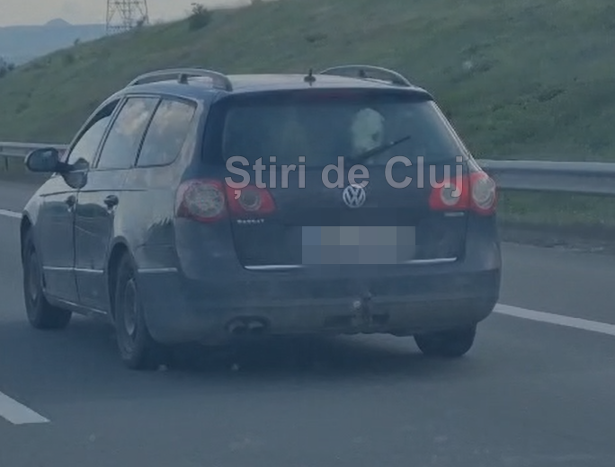 VIDEO Cat de mare e gradina ta Doi vitei de companie plimbati cu masina pe A10 intre Turda si Aiud Cum mirosea oare daca micutii au avut o urgenta