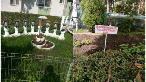 competitie acerba intre asociatiile de locatari din cluj napoca premii de peste 12 milioane de lei pentru cele mai bine intretinute cartiere ale orasului
