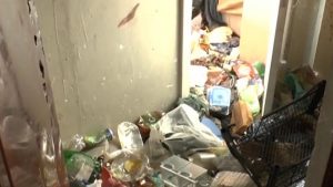 situatie alarmanta intr un bloc din cluj locatarii cer ajutor urgent dupa ce un apartament a devenit un focar de infectie insuportabil
