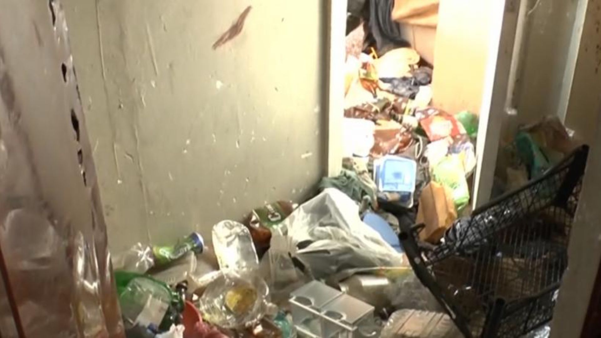 situatie alarmanta intr un bloc din cluj locatarii cer ajutor urgent dupa ce un apartament a devenit un focar de infectie insuportabil