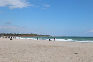 Mai mult de 1100 de persoane evacuate de pe litoral
