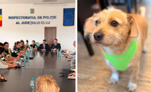 Politiiadinclujiamasuriimpotrivacainilorintalnirecuongurisinveterinariurmeazaactiunipeterenpentruproprietaricareincalcalegea