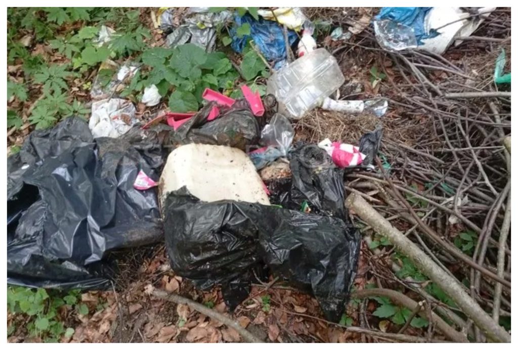 Rușine! O pădure dintr-o comună clujeană a fost transformată într-o groapă de gunoi FOTO/VIDEO 3 Rusine O padure dintr o comuna clujeana a fost transformat intr o groapa de gunoi FOTO VIDEO