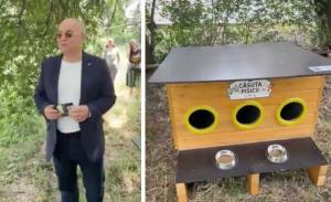 VIDEO Primele adaposturi pentru pisicile fara stapan din Cluj instalate de Boc Primaria ofera gratuit 80 de casute asociatiilor de proprietari