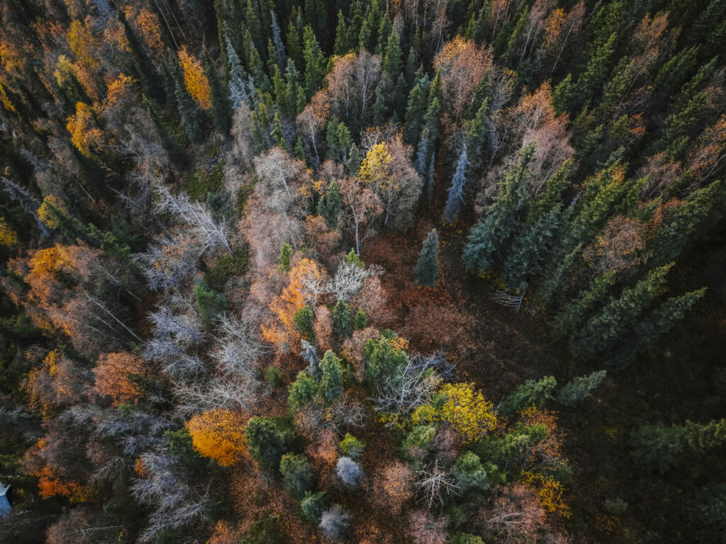 Vacante inedite dincolo de cailor cunoscute De la Alaska la Tara de Foc Eturia introduce o noua gama de circuite de aventura in parteneriat cu exploratorul Radu Paltineanu