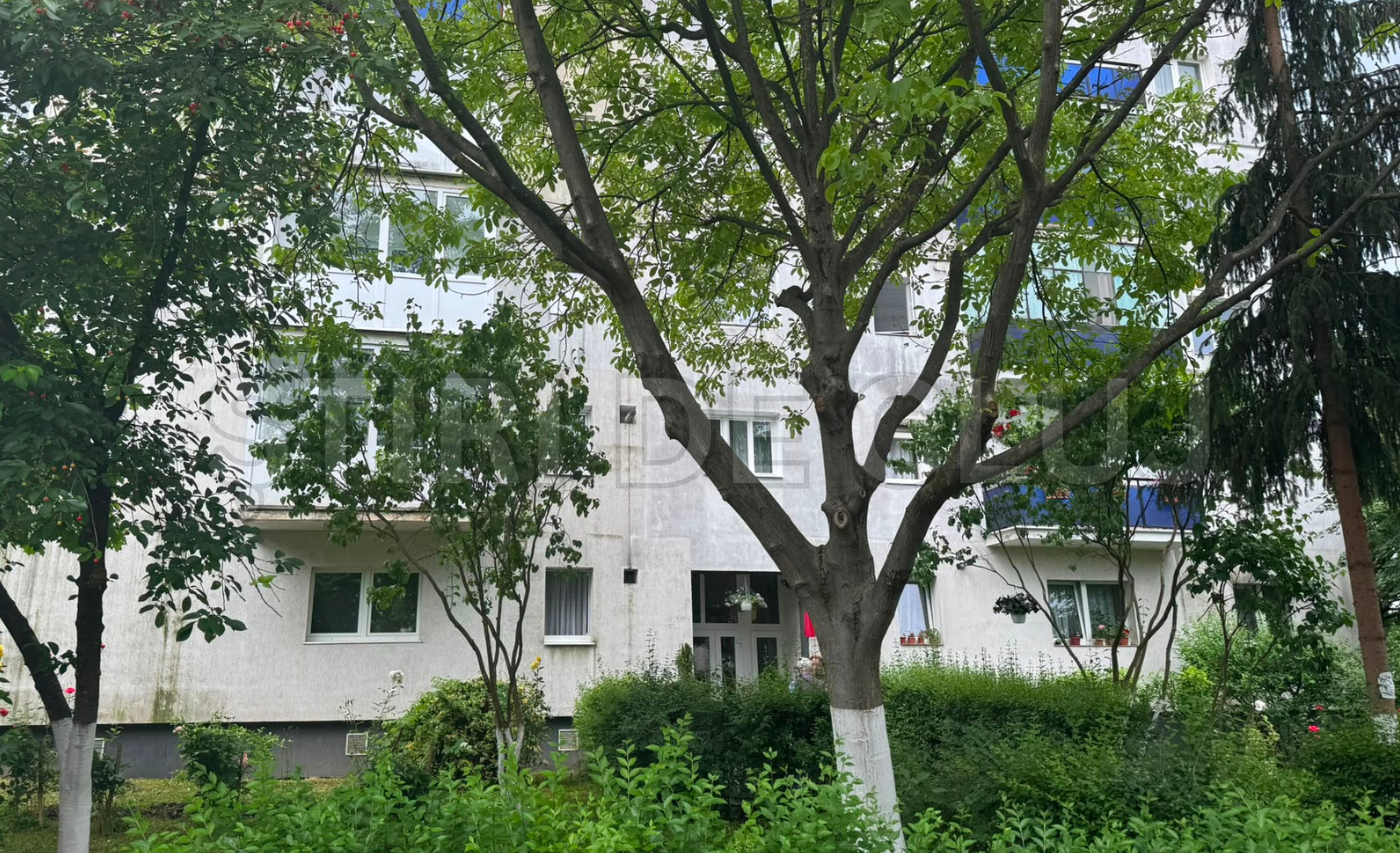 Momente teribile în Cluj-Napoca: un copil de 2 ani a căzut de la etaj! Martorii relatază: „Am văzut că a căzut ceva mic de la etaj!” 2 momente teribile in cluj napoca un copil de 2 ani a cazut de la etaj martorii relateaza am vazut ca a cazut ceva mic de la etaj