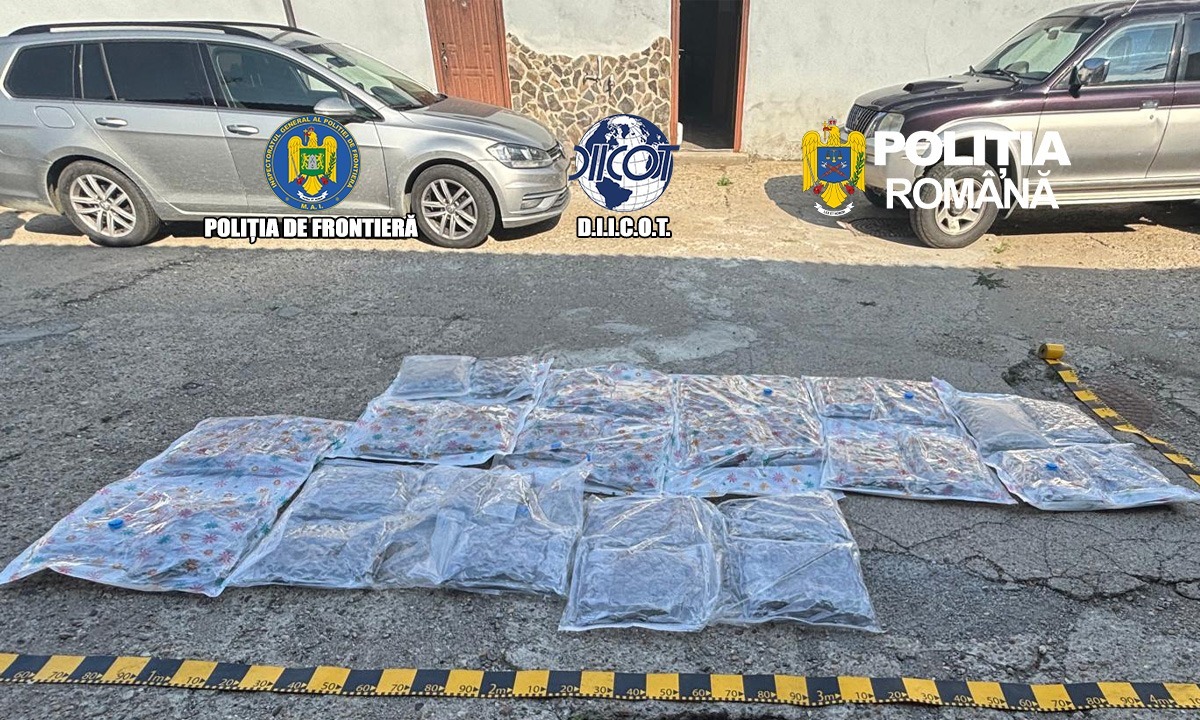 Captura de droguri la Petea 38 de kilograme de canabis gasite in plafonul unei autoutilitare