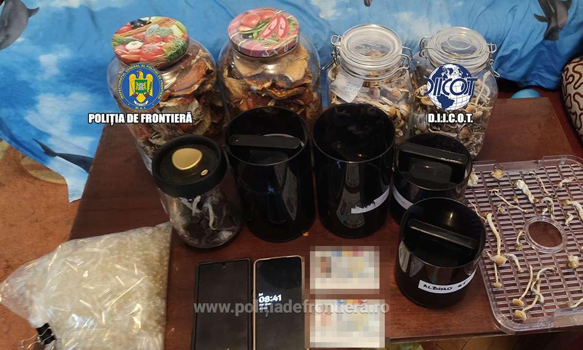 Fabric de droguri ntr o locuind din Bucureti Trei indivizi au cultivat ciuperci halucinogene