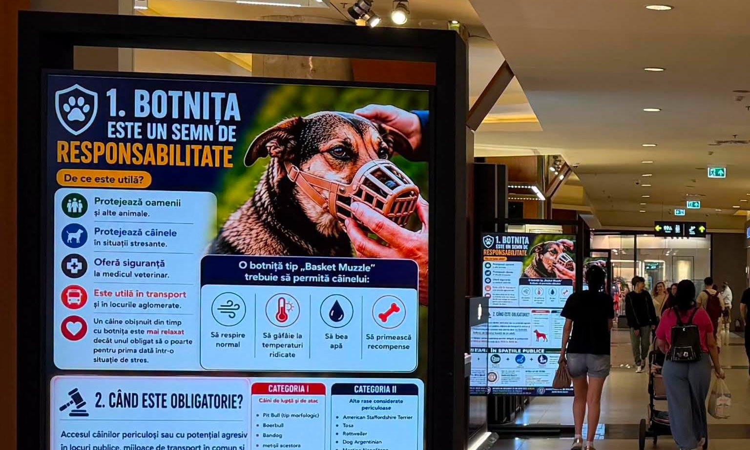 IPJ Cluj avertisment ferm pentru stapinile de caini periculosi Fara botnita si lesa riscurile cresc semnificativ Ce amenzi ar putea fi aplicate