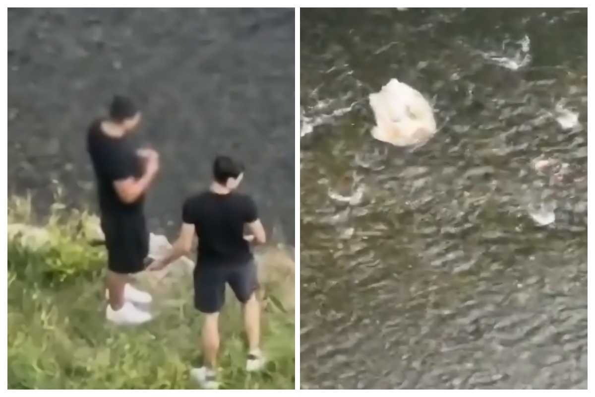 video cruzime gratuita la cluj doi tineri filmati aruncand cu pietre dupa ratuste au lovit una si nu a mai putut inota probabil a murit
