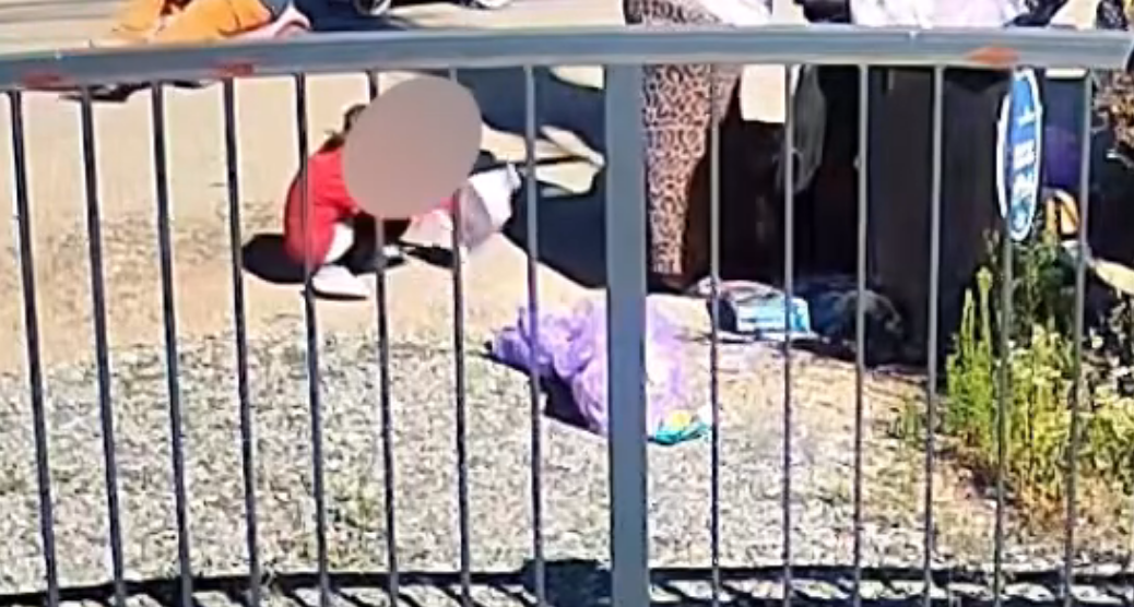 video imagini care te vor intrista o familie din cluj impreuna cu copiii cauta materiale reciclabile din poarta in poarta o realitati care nu ar trebui sa