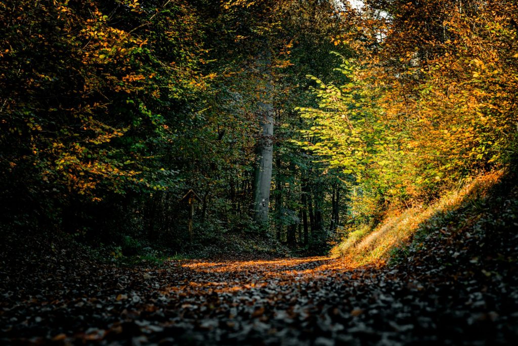 August se incheie cu temperaturi ridicate si furtuni Ce prognozeaza ANM pentru ultima saptamana a lunii