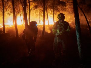 Europa confruntata cu un nou pericol incendiile forestiere ar putea creste cu 39 pana la sfarsitul secolului chiar si in cel mai optimist scenariu climatic