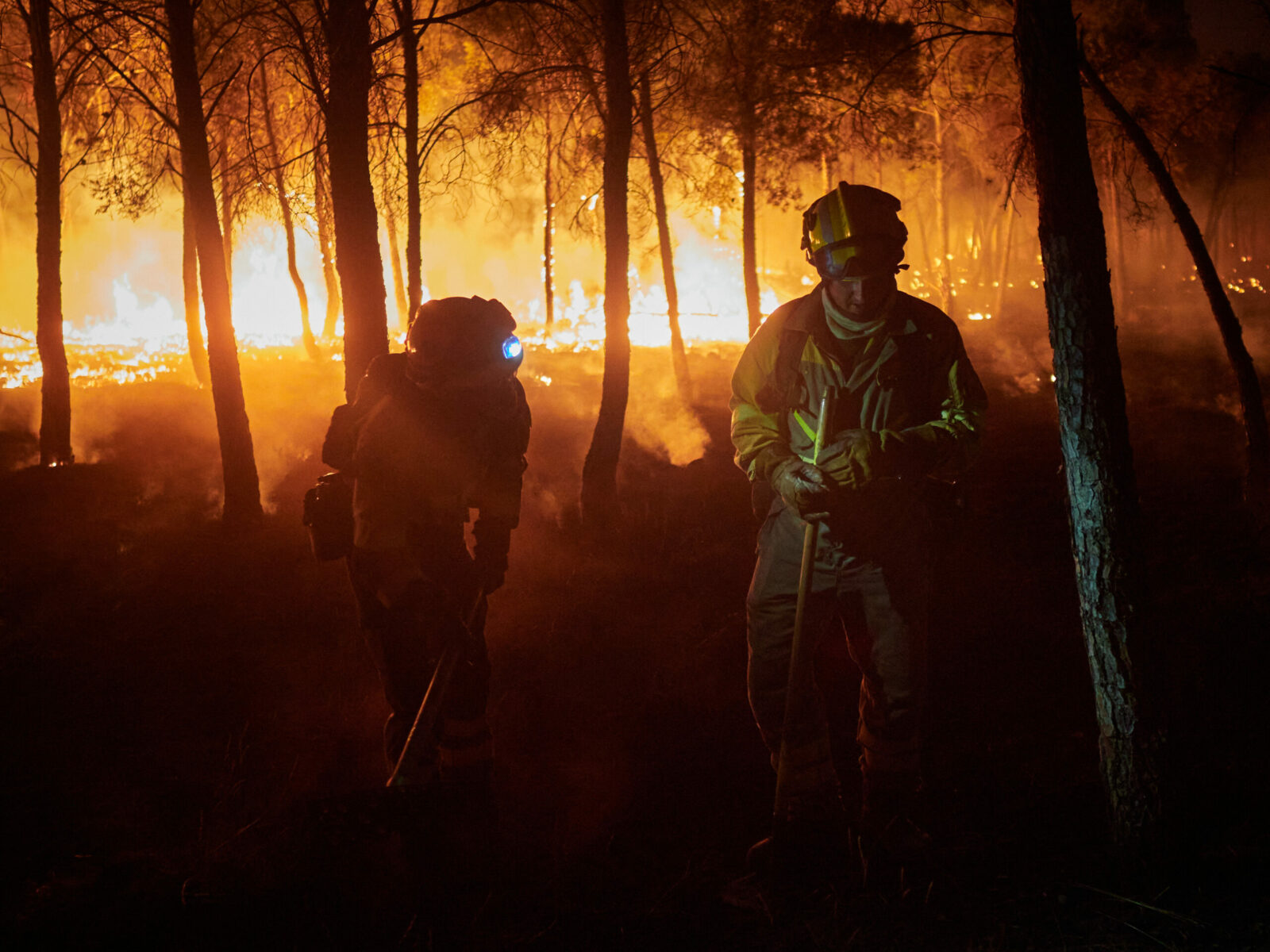 Europa confruntata cu un nou pericol incendiile forestiere ar putea creste cu 39 pana la sfarsitul secolului chiar si in cel mai optimist scenariu climatic