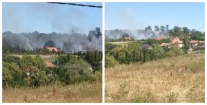INCENDIU N CLUJ Vegetatia uscat a luat foc n Mihieti ameninnd o anexa Pompierii intervin urgent