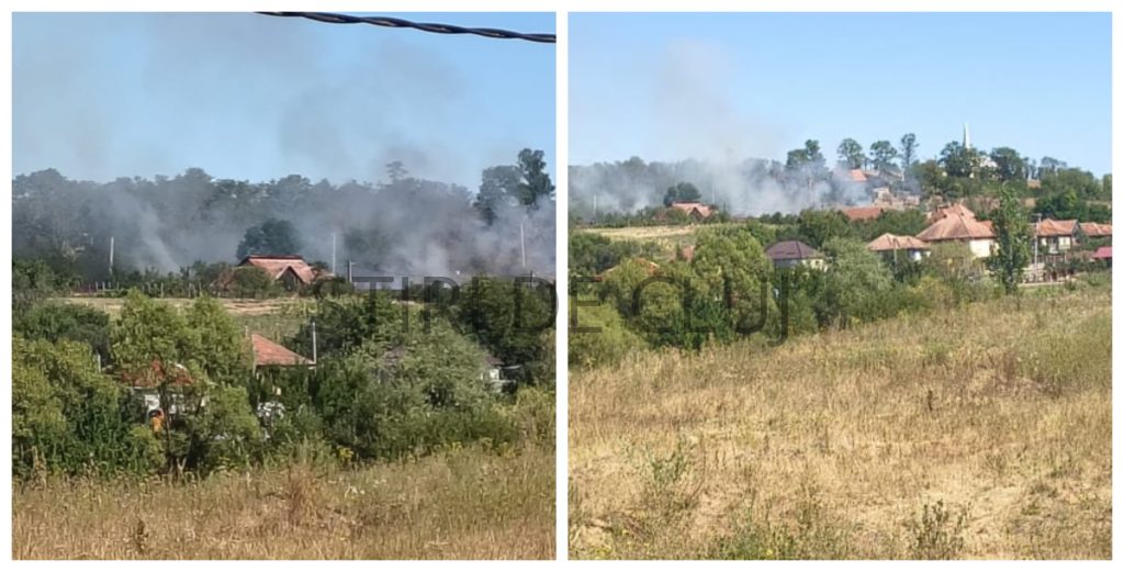 INCENDIU ÎN CLUJ! Vegetația uscată a luat foc în Mihăiești, amenințând o anexa. Pompierii intervin urgent. 2 INCENDIU N CLUJ Vegetatia uscat a luat foc n Mihieti ameninnd o anexa Pompierii intervin urgent