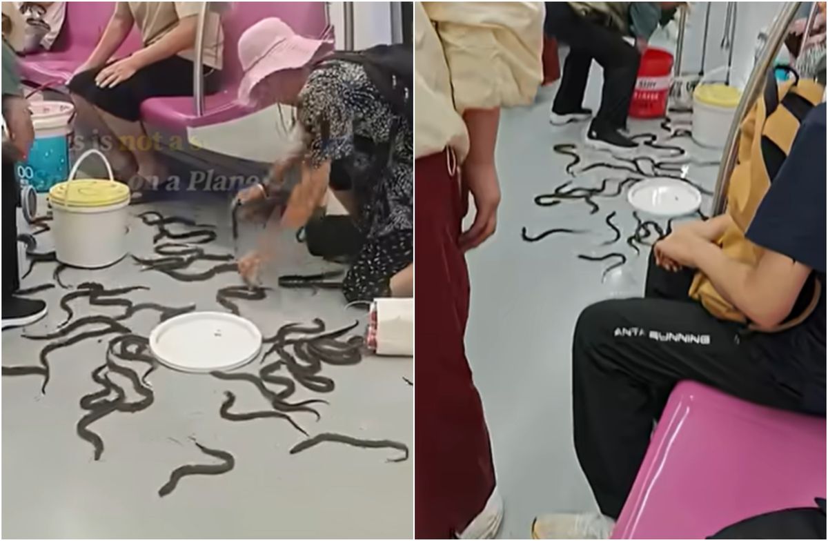 Momente de panica la metrou in China zeci de tipatori au evadat intr un vagon plin de pasageri VIDEO