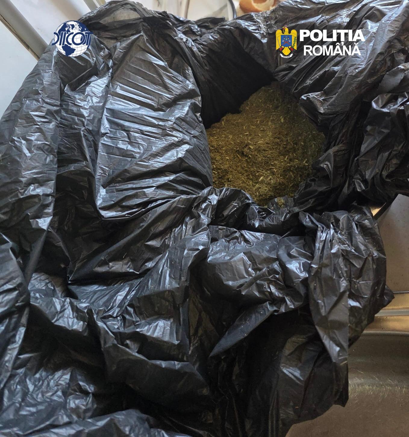 Rețea de trafic de droguri, coordonată din închisoare, destrucută. Șase persoane au fost arestate preventiv. 2 Retea de trafic de droguri coordonata din inchisoare destrusa Sase persoane au fost arestate preventiv