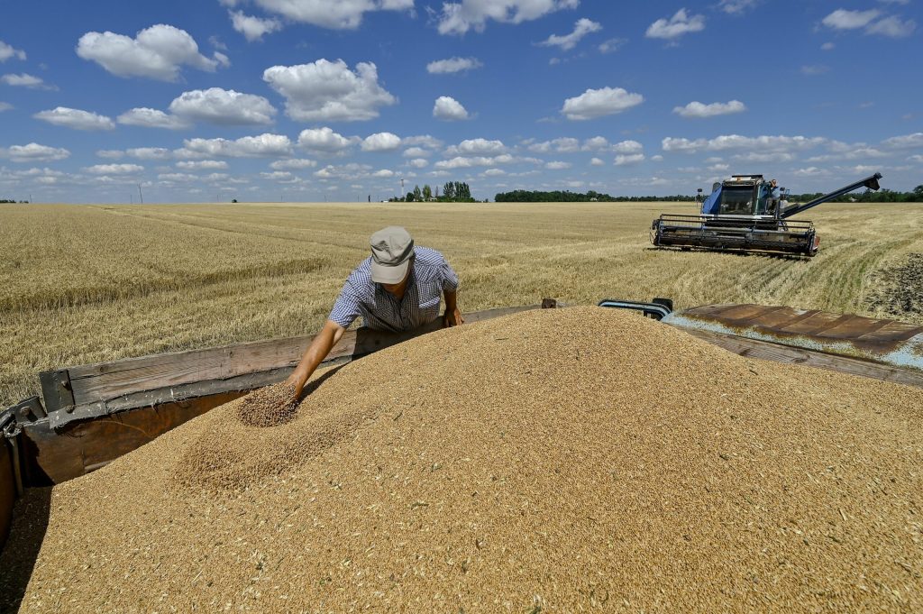 Ucraina exploreaza rute alternative pentru exportul cerealelor din cauza blocarii porturilor de catre Rusia