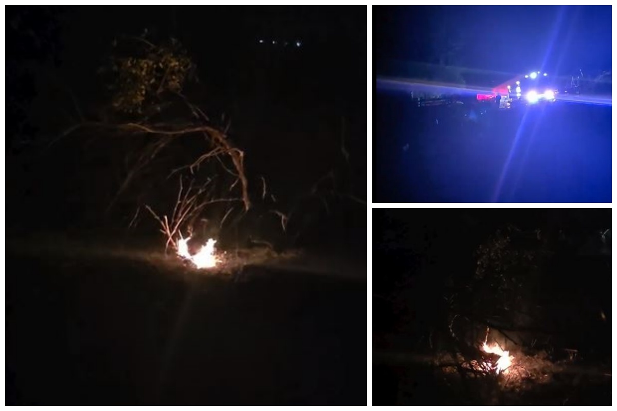 VIDEO. Focarele de incendiu au reapărut în livada de pe strada Spicului din Cluj-Napoca. Locuitorii sunt în alertă: „Zona de lângă case este în pericol” 2 VIDEO Focarele de incendiu au reaparut in livada de pe strada Spicului din Cluj Napoca Locuitorii sunt in alerta Zona de langa case este in pericol