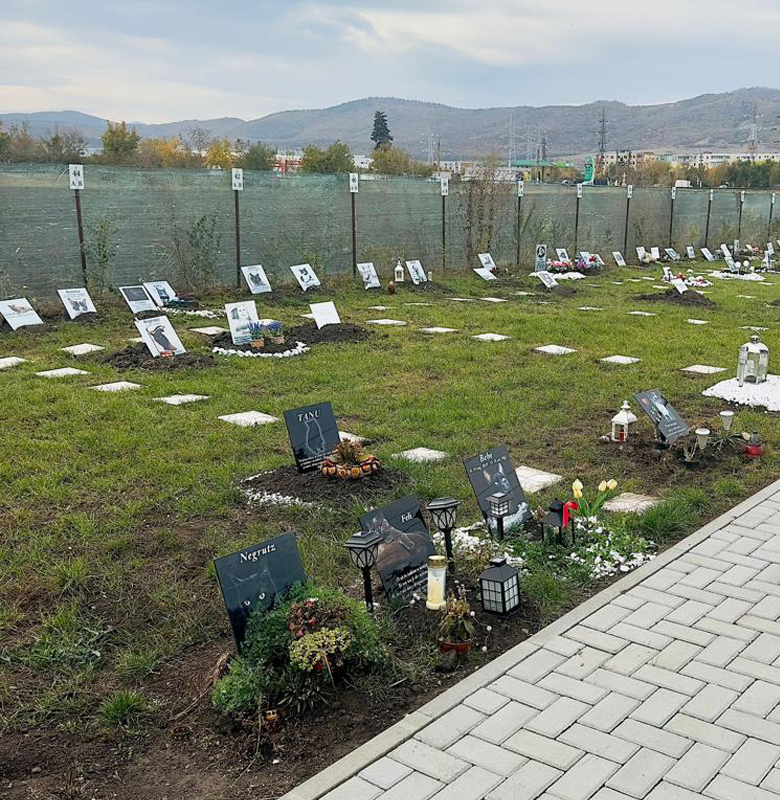 Vestii imbucuratoare pentru iubitorii de animale Prima ria a dat unda verde pentru crearea unui cimitir pentru animale in Cluj Napoca