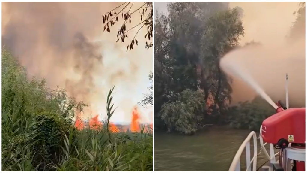 incendiu devastator in delta dunarii exista riscul extinderii catre padurile din zona arafat interventia pe apa este esentiala