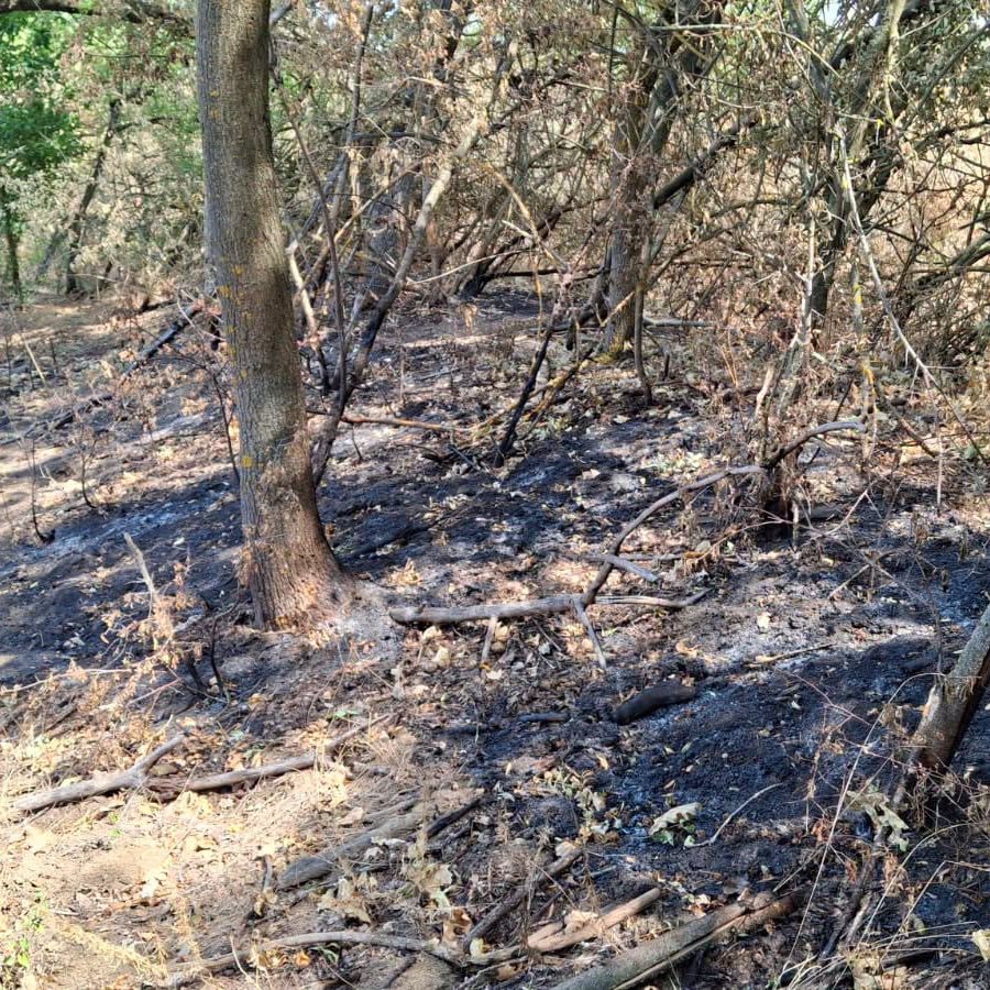 incendiul subteran care nu se stinge autoritatiile din arad concep o solutie inovatoare