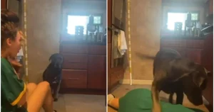 Câinele tău e un psihopat. Reacția unui patruped când stăpâna se prefăcea că se sufocă