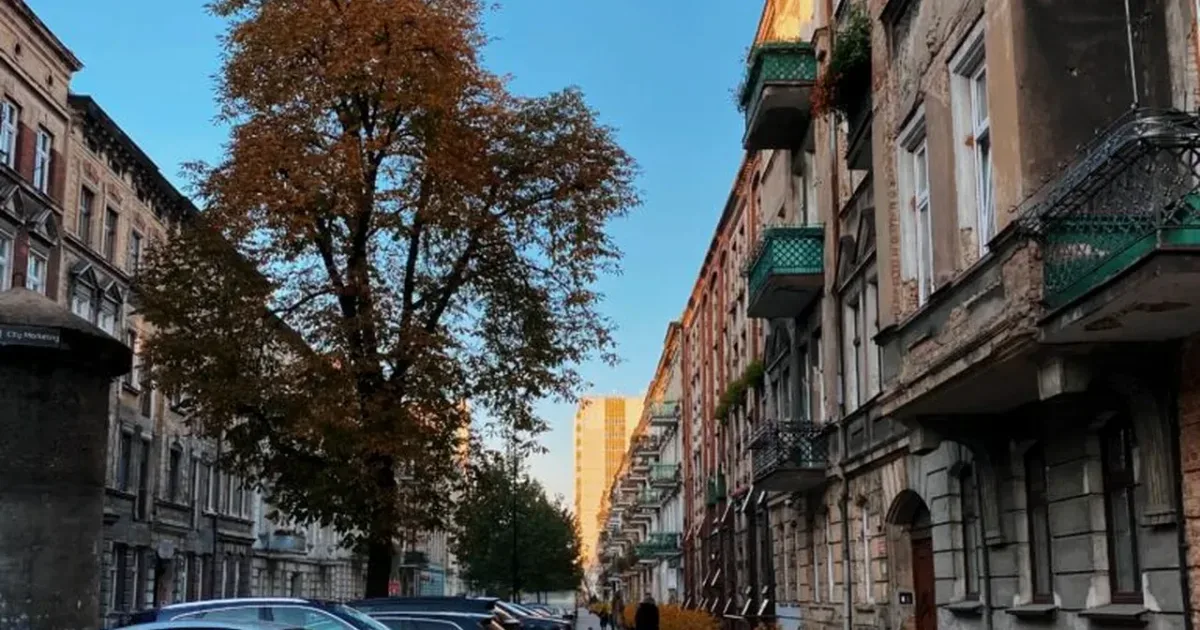 România, lovită de escrocheria numerelor poloneze: plăți de 1,3 milioane de euro 2 România, lovită de escrocheria numerelor poloneze: plăți de 1,3 milioane de euro