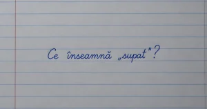 Ce este „supat”? Termenul românesc care a stârnit controverse online
